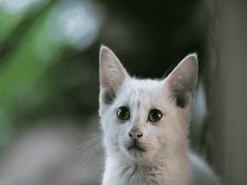 抽血试管卫生吗长江不育不孕检查费用三试管检查几项