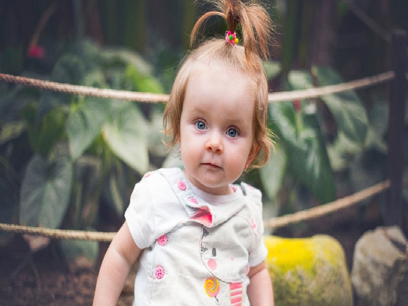 试管报销的比例嗯做试管进来采血管颜色试管